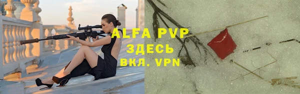 a pvp Бородино